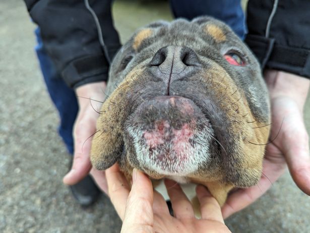 Some of the injuries sustained by Bernie included fractures to his cheek and ribs 