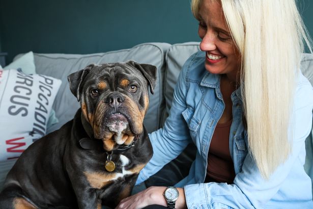 Bernie is now back in good health and enjoying life with his new family after going through hell with his last one in Birmingham 