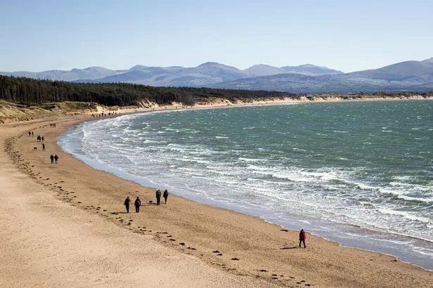 Sandy Traeth Llanddwyn beach backed by Newborough forest with views of Eryri.