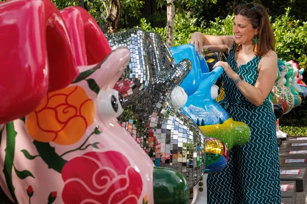 The pink Gromit in the foreground is now situated in Winterbourne 