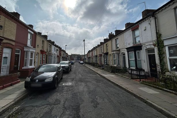Helder Demelo made the lives of his neighbours in Banner Street miserable 