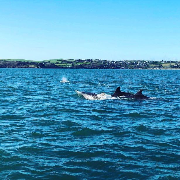 Andy Huddlestone's video was shared on the Abersoch Watersports Facebook page where it has been viewed more than 40,000 times