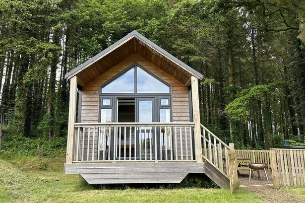 Cabin in The Woods in Kilgetty, Pembrokeshire