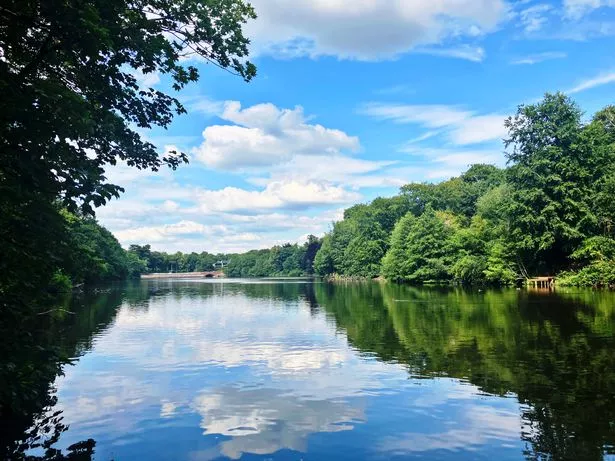 The lake next to Lymm Dam is surrounded by greenery