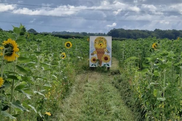 There are plenty of photo opportunities along the route