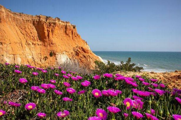 Falesia beach, Algarve, Portugal