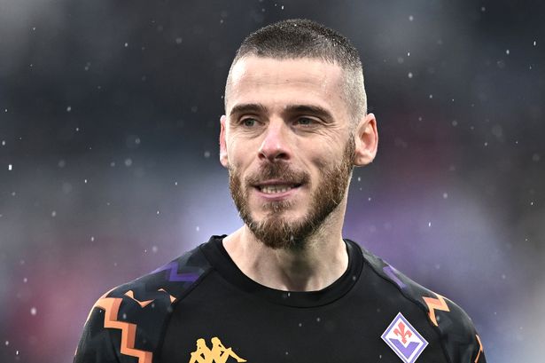 Former Manchester United goalkeeper David De Gea now plays for Italian side Fiorentina.
