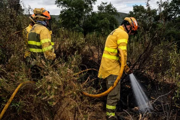 Three INFOEX forest firefighters extinguishing the wildfire near Aliseda 