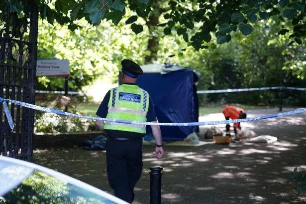Police were called to the incident at Hullard Park which was later deemed not to be suspicious