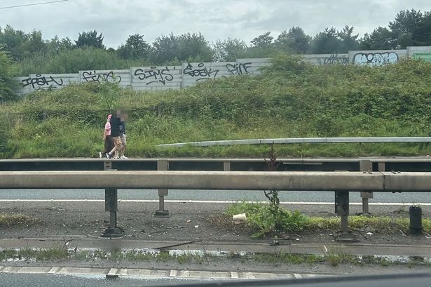 A number of pedestrians left their vehicles and walked along the hard shoulder