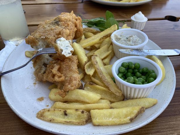 Yummy lunch