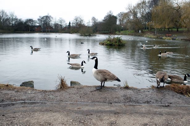 Sykes Reservoir in Stockport.