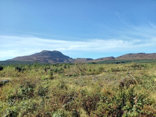 Rhinog Mountains 