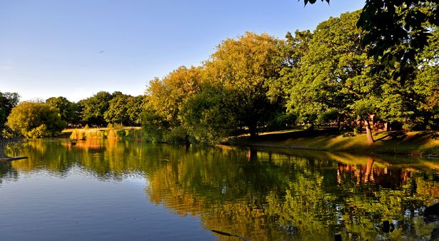 Summer evening sunlight in Greenbank Park, Liverpool. Photo by Colin Lane