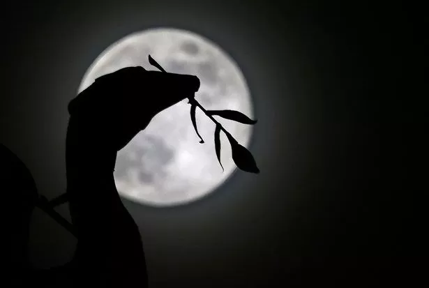 Full moon over Liverpool's Liverbird