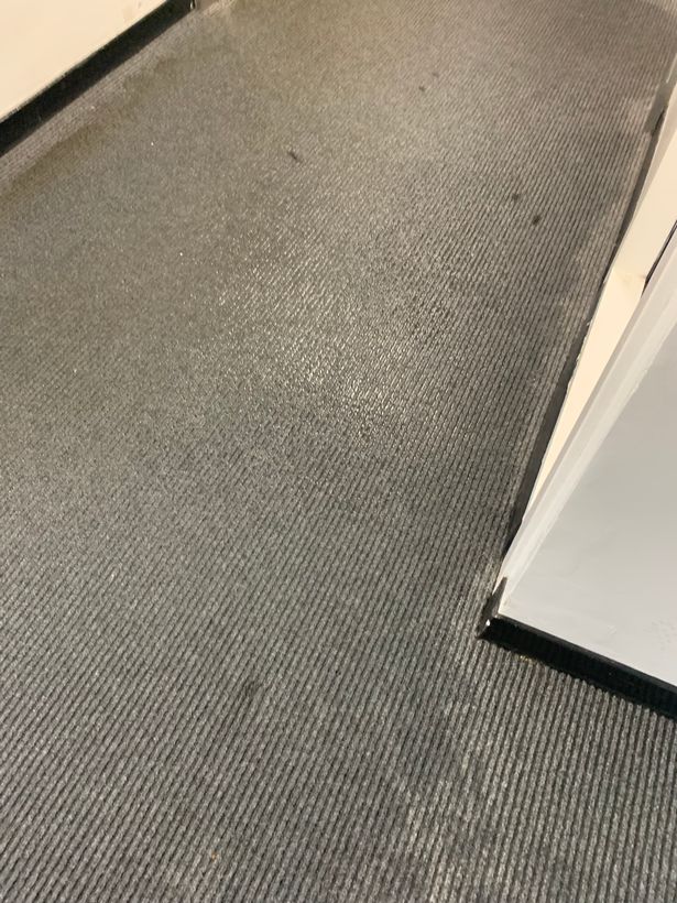 The carpet has been left soaking wet with water after leaks.
