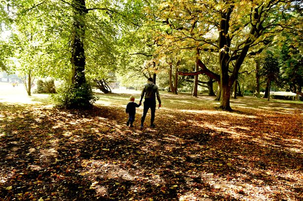 Weather, Autumn seasonal in Calderstone Park, Liverpool.