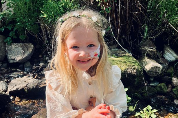 Josie Davidson needs a stem cell donation in order to have a second chance at life