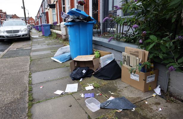A new litter squad will patrol the streets of Liverpool 