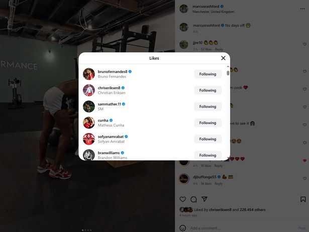 A host of Man United players liked Marcus Rashford's Instagram post.