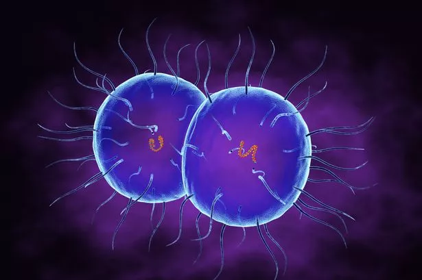 Infection may also result in complications, including pelvic inflammatory disease, ectopic pregnancy, and infertility