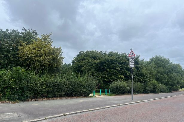A section of Newsham Park was cordoned off earlier today