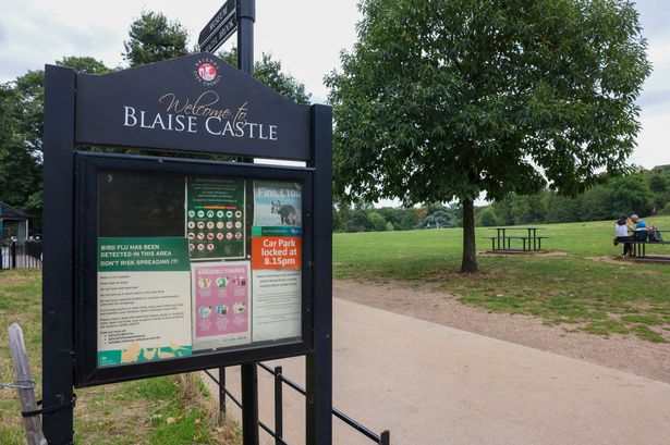 Blaise Castle