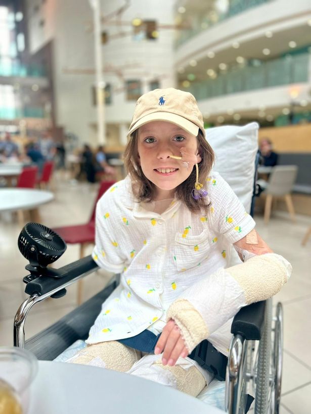 Penelope in recovery following her surgery
