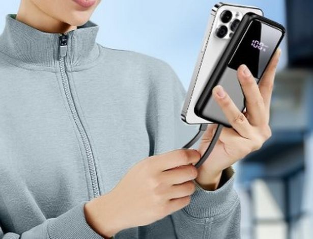 The power bank