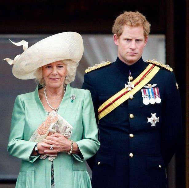 Prince Harry and Queen Camilla