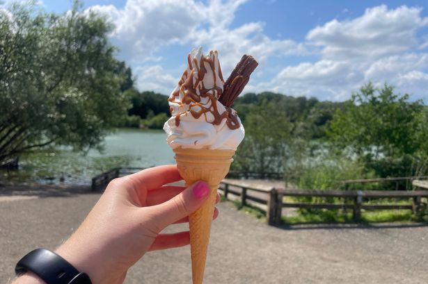 Enjoy an ice cream at Chorlton Water Park 