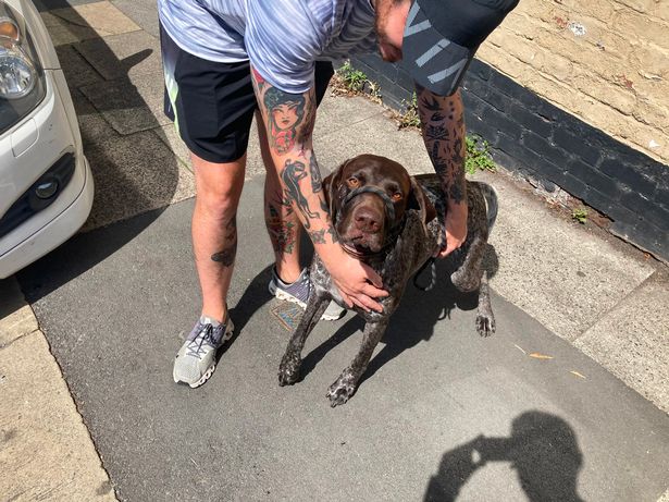 Rollo the dog with owner Matthew McHugh
