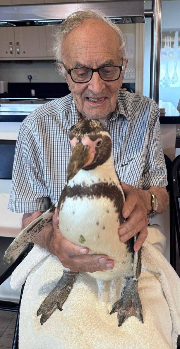 an old man with a penguin on his lap