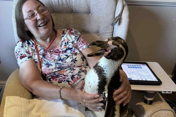A woman with a penguin