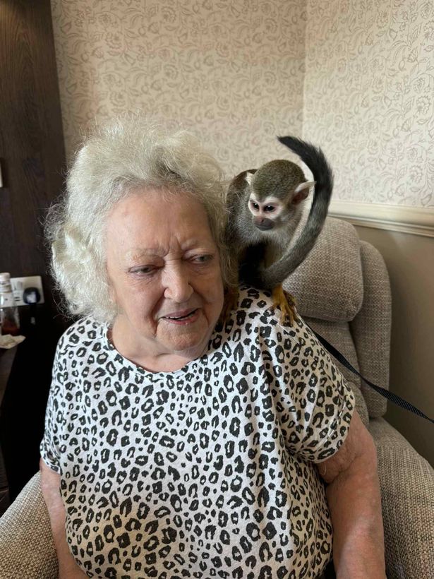 An old woman with a monkey on her shoulder
