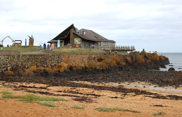 Scottish Seabird Centre