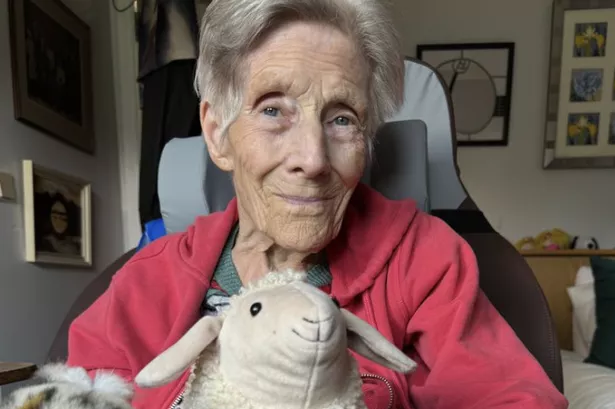 Fiona White is honouring her late mother Catherine Murray's wish to donate her collection of soft toys to Refuweegee, to help make sure every child has something to cuddle.