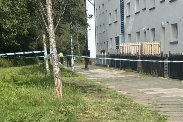 A large cordon has been erected outside homes near Hailesland Grove and Hailesland Gardens. (Image: Supplied)
