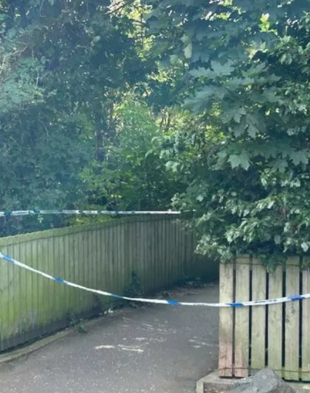 An area has been taped off following the incident