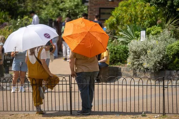 People shelter from the sun beneath umbrellas  at St James's Park in central London. 