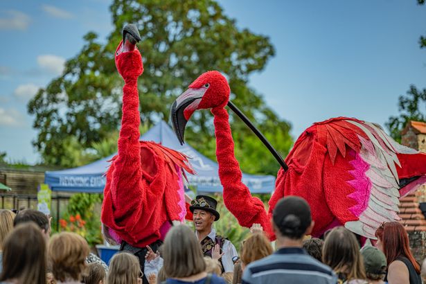 Theatrical performances, acrobats, jugglers and stilt walkers will roam the zoo during Afterglow