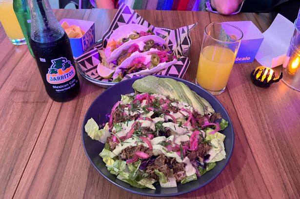 Lucha Libre rice bowl 