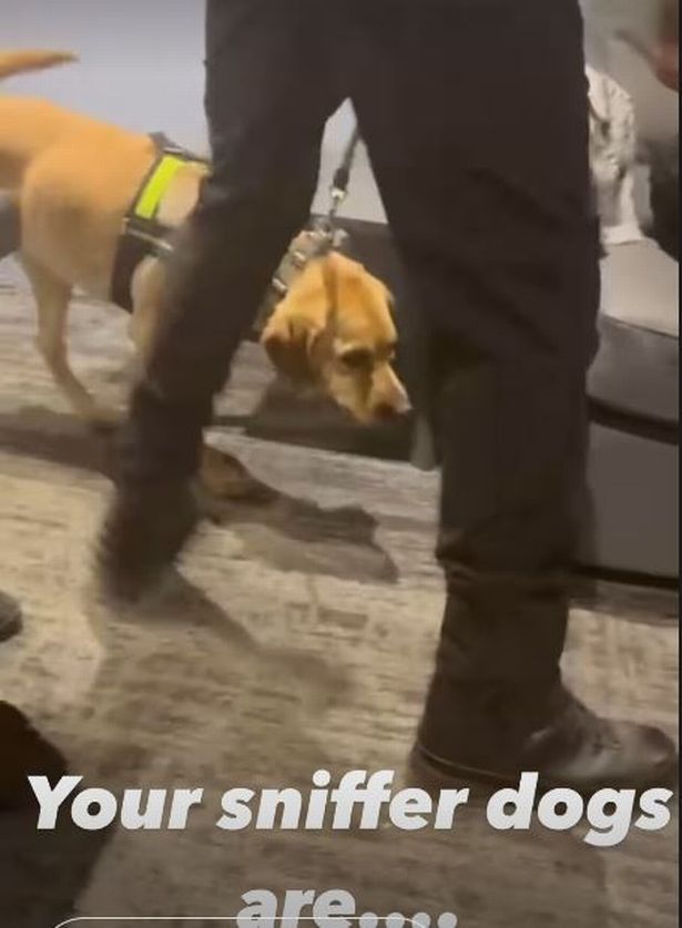 Sniffer dogs in Kneecap's dressing room