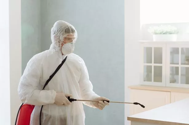 A professional contractor pests pests or viruses by disinfecting a home. coronavirus epidemic covid-19.