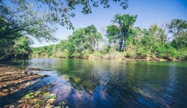 TotalEnergies Expands Its Investments in Sustainable Forestry Operations to Preserve Carbon Sinks