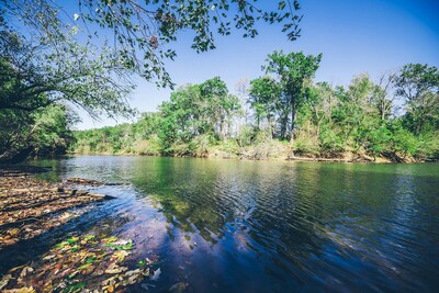 TotalEnergies Expands Its Investments in Sustainable Forestry Operations to Preserve Carbon Sinks