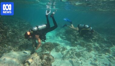 Six-month 'in danger' warning for Great Barrier Reef repeated at UN meeting