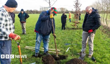 Seven men planting trees at Driffield Showground