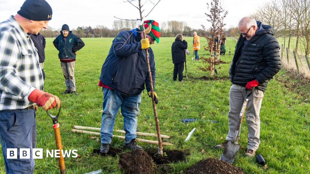 Seven men planting trees at Driffield Showground