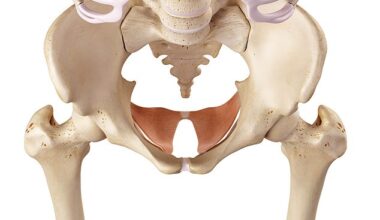 Ozempic vagina effects the pelvic floor muscles, which sit at the base of the pelvis, keeping the bladder, uterus, vagina and bowel in the right place.